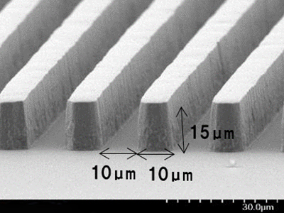 L/S = 10/10 μm, copper wiring plating with a height of 15 μm.