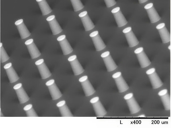 Φ25μm x height 55μm Cu/Ni/Au bump plating