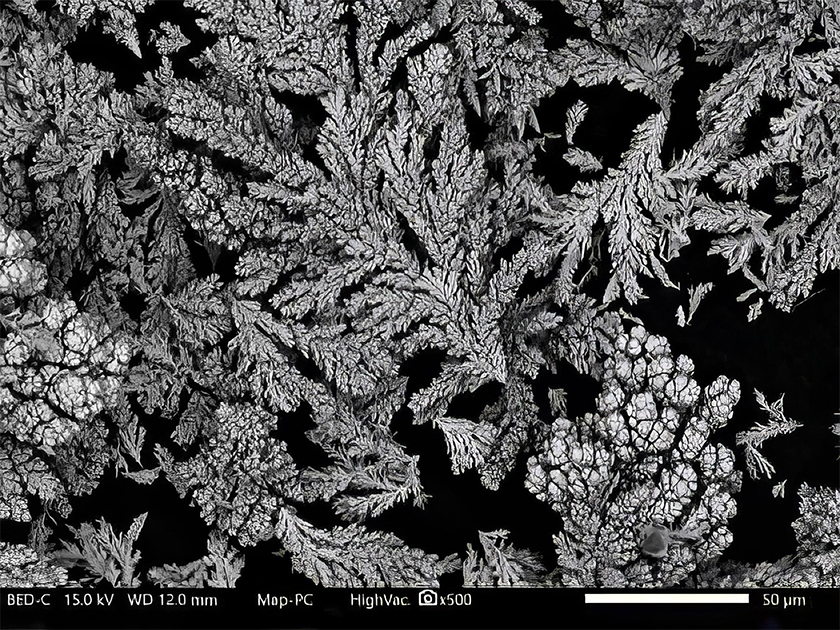 Coating of dendritic particles