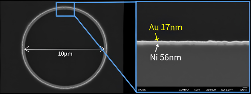 Cross-section of resin particles plated with nickel/gold