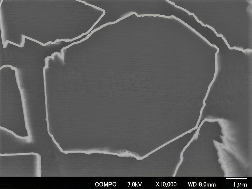 SEM image of the cross section of nickel-plated diamond particles