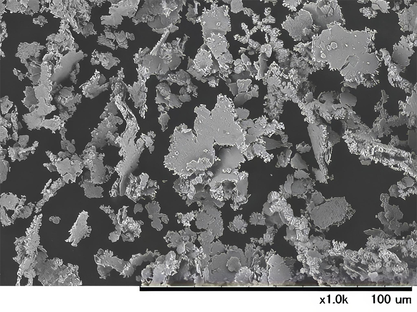 Coating of scale-like particles
