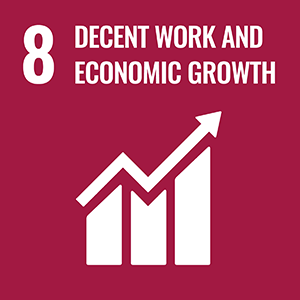Sustainable Development Goal 8