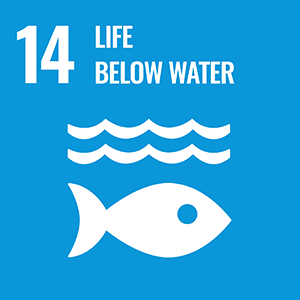 Sustainable Development Goal 14
